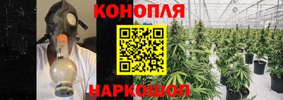 каннабис Гатчина