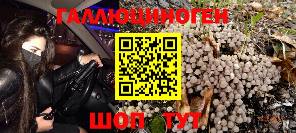 Псилоцибиновые грибы Cubensis Ялуторовск